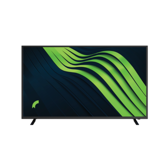 REEDER SMART TV 55 resmi